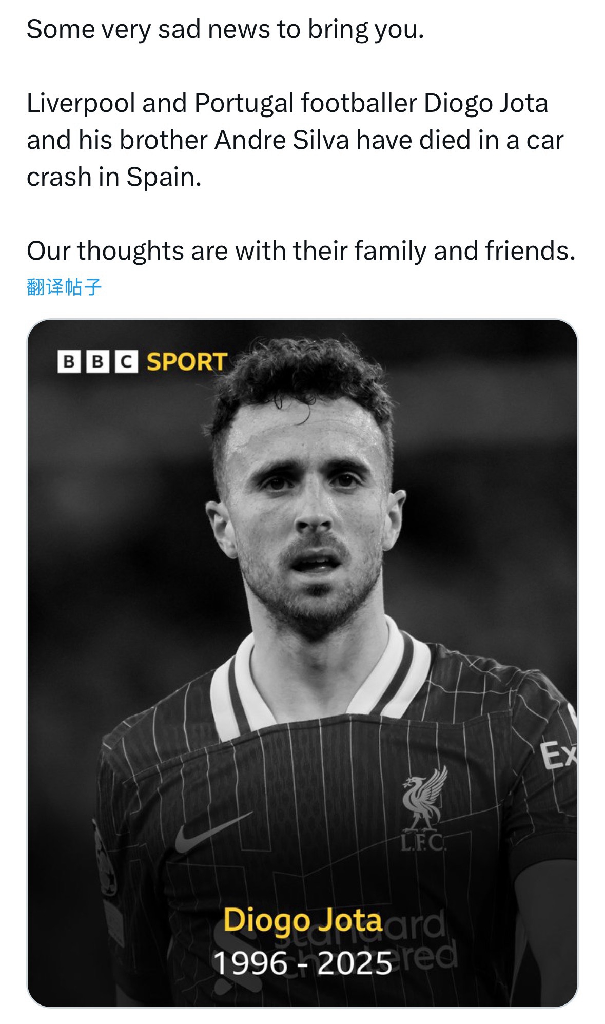 葡萄牙球星迪奥戈·若塔与